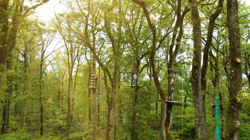 Parcours d'accrobranche dans une forêt du parc de loisirs O'Fun Park en Vendée